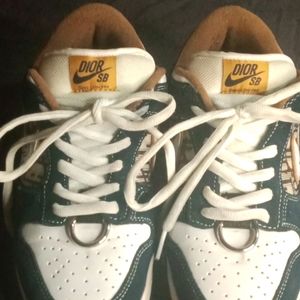 Nike/Dior SB dunk low pro